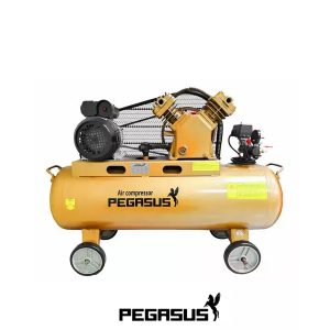 PE TM-V-0.25/12.5-120L-3HP (380V) Máy Nén Khí Pegasut PE 120L 05