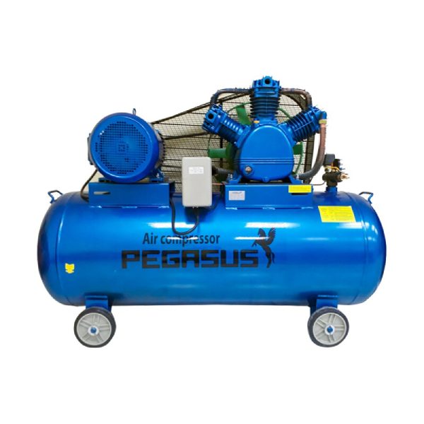 Máy Nén Khí Pegasut PE TM-V-0.25/12.5-120L-3HP PE 120L 04