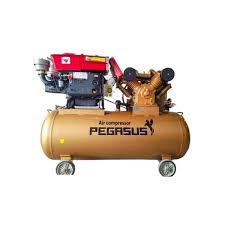 Máy Nén Khí PE TM-W-1.6/12.5-500L-15HP Đầu nổ D24 Pegasut PE 500L 14