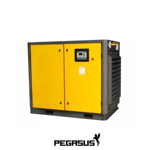 Máy Nén Khí Trục Vít Pegasut TMPM-175A